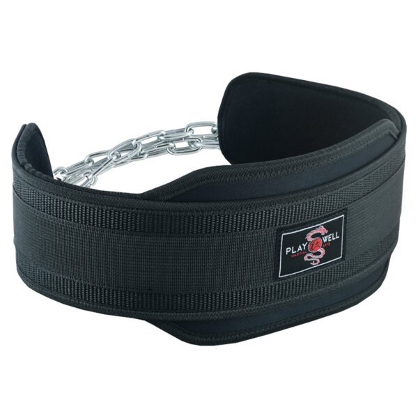 200kg rated dipping belt.