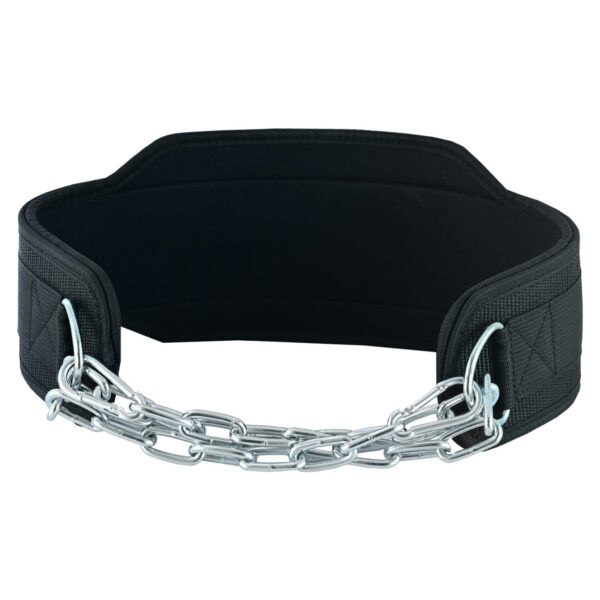 Heavy duty chain and 6" lumbar support ideal for adding weight to your dips and pull ups.