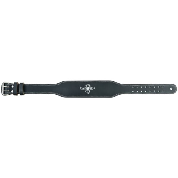 This image shows the length of the Playwell 4" 2 pin buckle weightlifting belt.