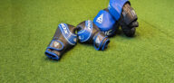 Boxing gloves and focus Pads