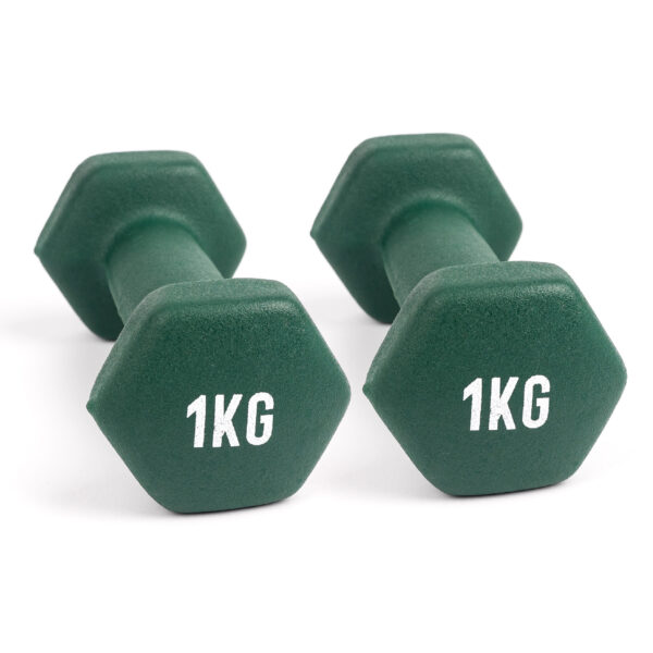 1kg Dumbbell Pair (2kg combined)