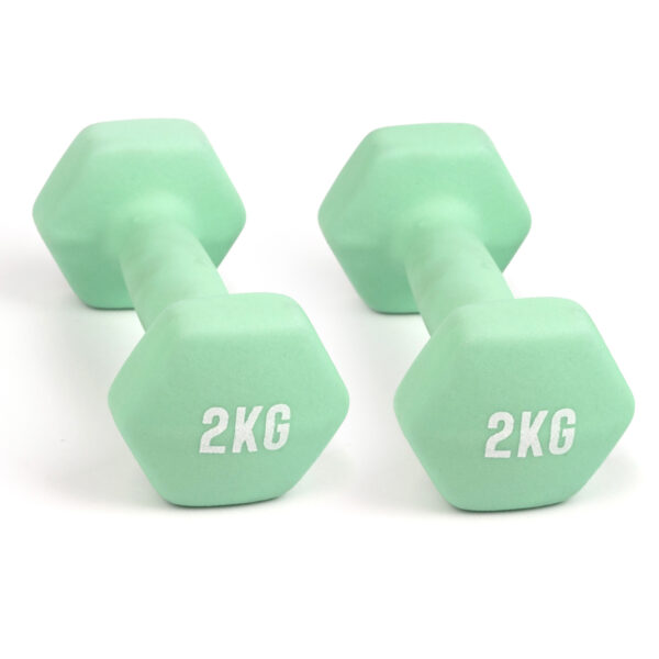 2kg Dumbbell Pair (4kg combined)