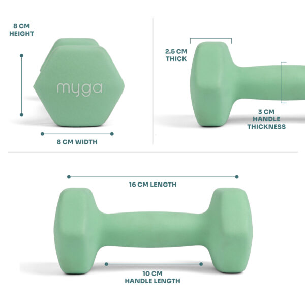 Dimension of the 2kg dumbbells