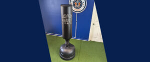 Freestanding punchbag by Phoenix Fitness